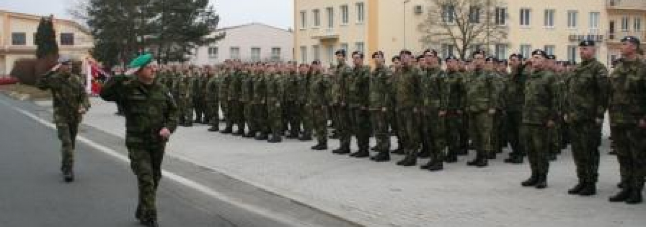 Slavnostní nástup u příležitosti 16. výročí vstupu ČR do NATO