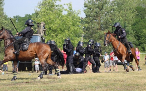 5_poradkova-jednotka-policie-cr-zadrzela-jednoho-z-demonstrantu_2.jpg