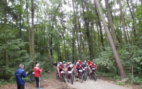 image_6483441_1.jpg