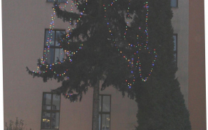 img_1274.jpg